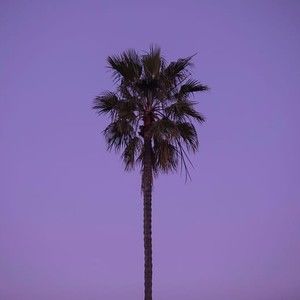 Meet your Posher, Dominic